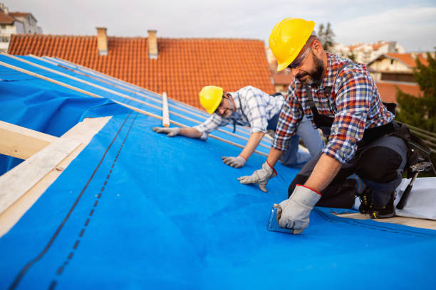 Best New Roof Installation  in Chamberlain, SD
