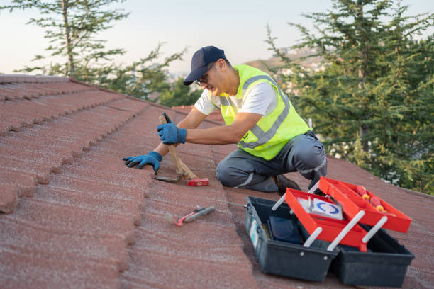 Best Flat Roof Repair Services  in Chamberlain, SD