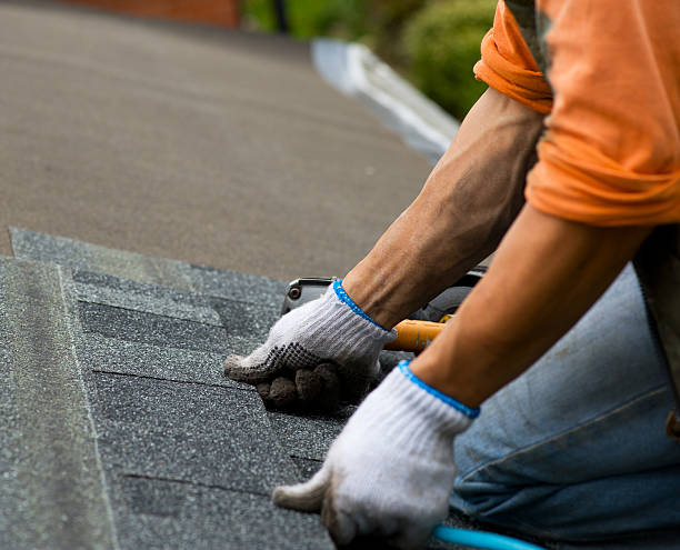 Best Sealant for Roof  in Chamberlain, SD