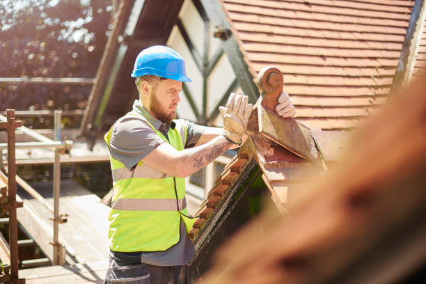 Best Roof Gutter Cleaning  in Chamberlain, SD
